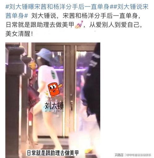 刘大锤最新爆料直播杨洋,杨洋幕后故事大曝光  第2张